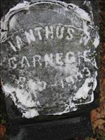 Carnegie, Ianthus (1st Pic.)